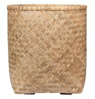 bamboo