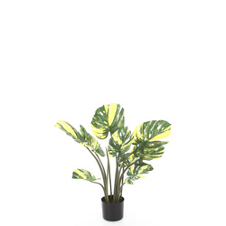 Sztuczna Monstera dziurawa Variegata żółta 60 cm