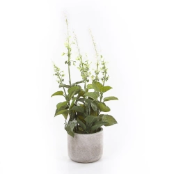 Sztuczna szałwia biała 45 cm w cementowej doniczce