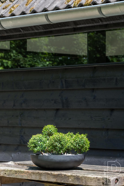 Monique L 43,5/12 misa szara osłonka na bonsai