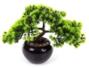 Sztuczny Bonsai Larch Modrzew 26 w czarnej doniczce ceramicznej