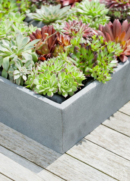 Jack S 40x40/9 doniczka kwadratowa płaska szara