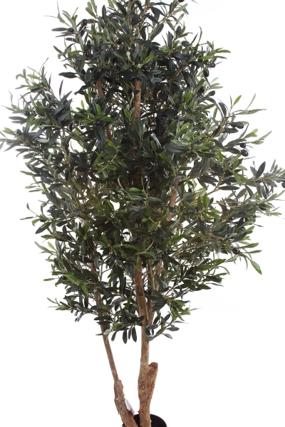 Sztuczna Oliwka 180 cm drewniany rozgałęziony pień
