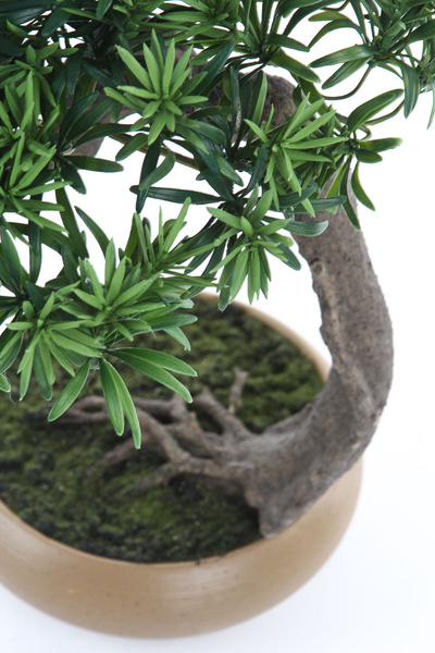 Sztuczny Bonsai Podocarpus Shankan 60/50 cm