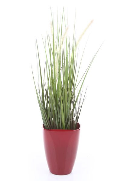 QUARTA ORCHID 13/17 ceramiczna doniczka do storczyków czerwona