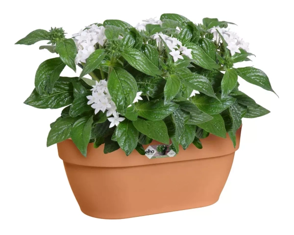 Vibia Wall Basket 35x16/15 doniczka naścienna terakota