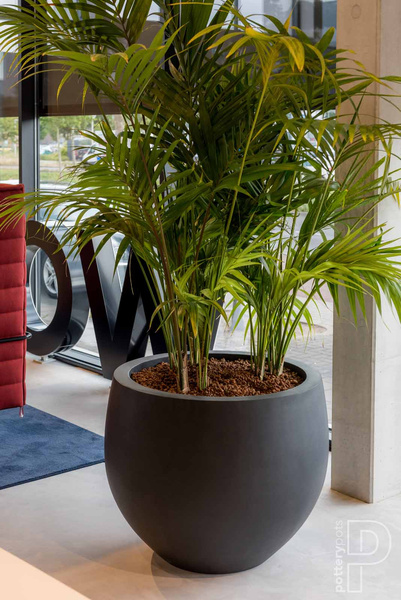 Orb Natural M 53/44 czarna duża donica kulista kamienna