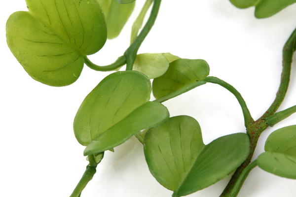 Sztuczna Hoya Kerrii vine 90 cm UV Weather Proof