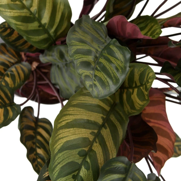 Sztuczna Kalatea gęsta czerwona 80 cm 65 liści