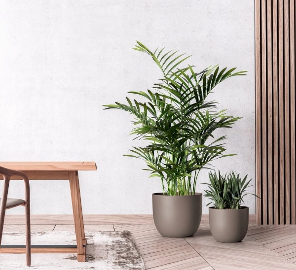 Rio 34/28 biała donica do salonu