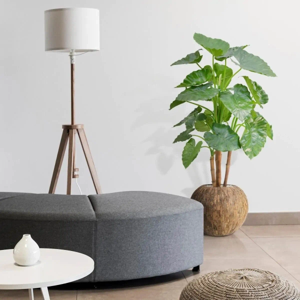 Sztuczna Alokazja Calidora 125 cm deluxe