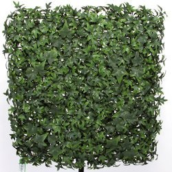 Sztuczna zielona ściana Hedera Bluszcz mata 50x50 UV wodoodporna