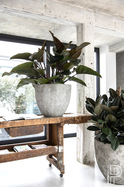 JESSLYN XL 80/70 duża donica naturalna cesarska biel imperial white