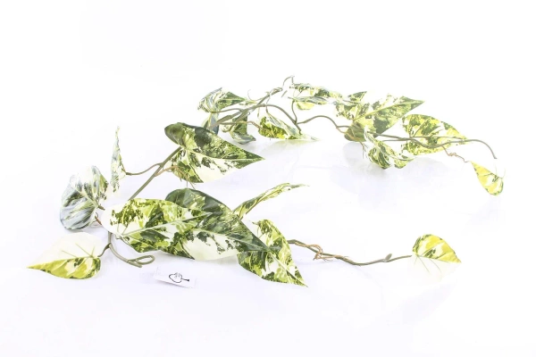 Sztuczny scindapsus tendril pstry pnącze biały 123 cm