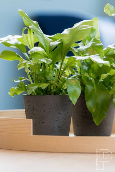 Mini Bucket S 14/12 kamienna doniczka złota metalik