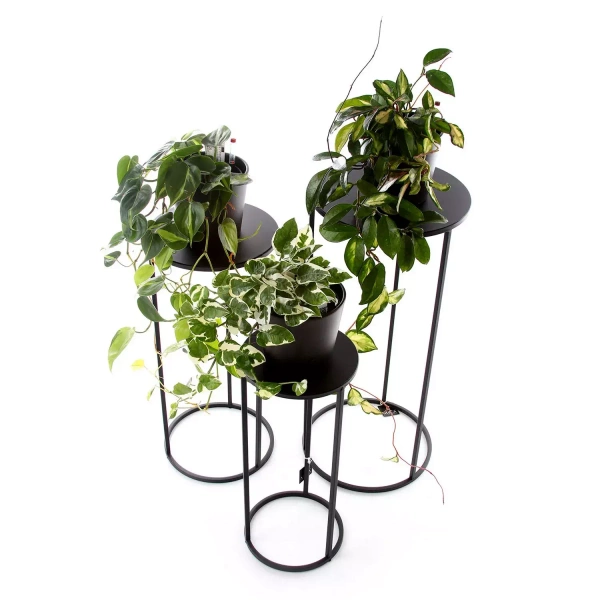 Kwietnik czarny Quinty 32/70 cm