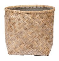 bamboo