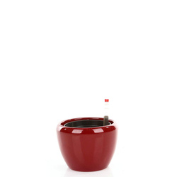 Zestaw do hydroponiki 9/7 Venus w czerwonej szkliwionej osłonce ceramicznej