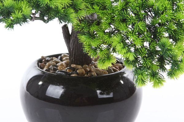 Sztuczne drzewko Bonsai Modrzew Larch 60x50 cm w ceramicznej doniczce