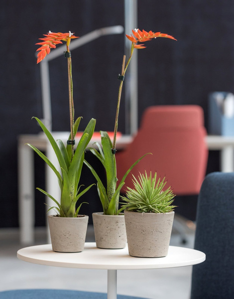 Mini Bucket S 14/12 szara kamienna doniczka