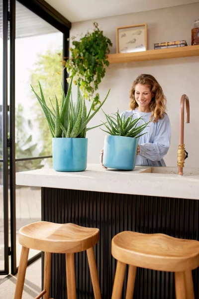 Zestaw do hydroponiki 22/19 osłona Ocean niebieski atlantycki