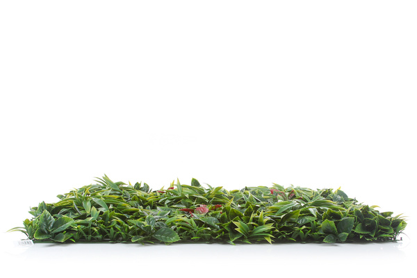 Mata Zielona Ściana panel z liści PREMIUM II 100x100 cm