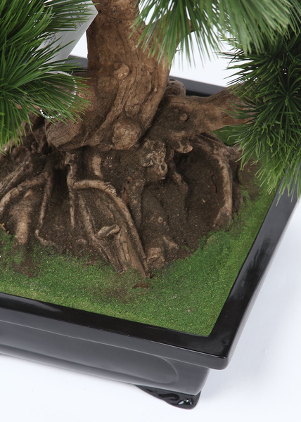 Sztuczne drzewko Bonsai Sosna Pinia 70 cm
