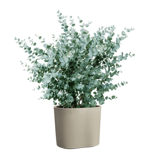 Eden 25 donica soft taupe organiczny kształt