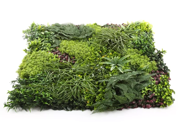 Sztuczna zielona ściana Premium 100x100 paprocie i mchy