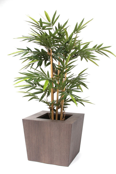 NATURA 45x45/40 donica dębowa ciemna