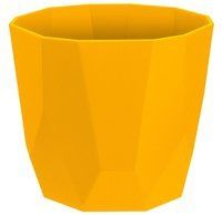 żółty / orche