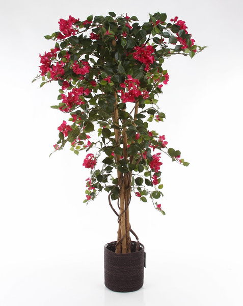 ATLANTIC 14/14 osłonka z trawy morskiej ciemnobrązowa