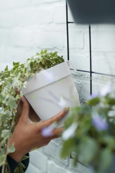 Loft Green Wall Single 15/14 doniczka balkonowa pistacjowa Elho