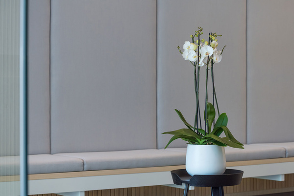 Kevan M 25/21 doniczka biała z połyskiem z włókna szklanego