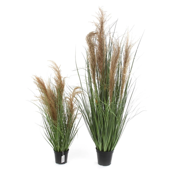 Sztuczna trawa trzcinowa gęsta 75 cm w doniczce