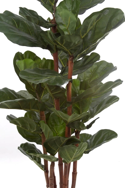Sztuczny Fikus Lyrata 165 cm duże liście deluxe