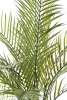 Sztuczna palma Areka 180 cm UV