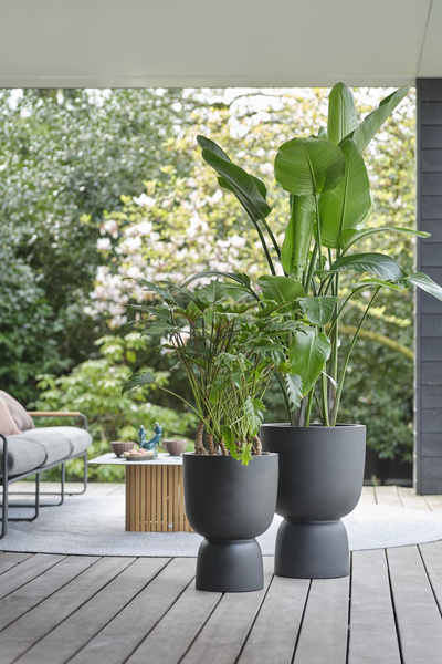 PURE COUPE ELHO 35/49 donica na podwyższeniu czarna