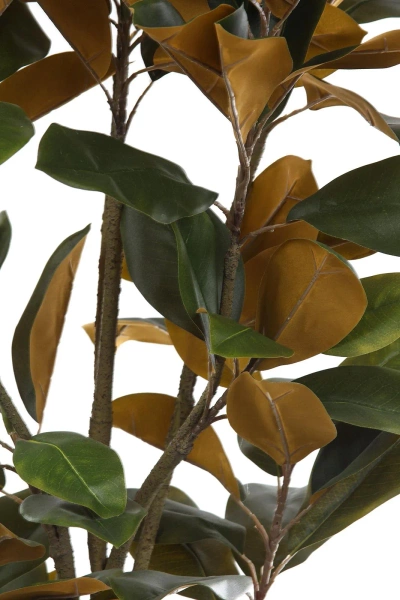 Sztuczna Magnolia Denudata 180 cm