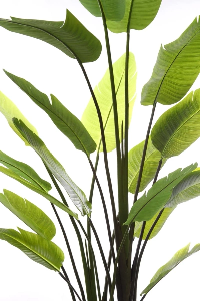 Sztuczna Strelicja nicolai wysoka 235 cm 18 liści