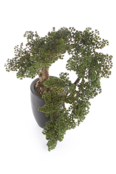 Sztuczne drzewko Modrzew Bonsai Larch Han-Kengai 90 cm