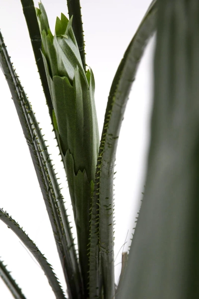 Sztuczna Palma Licuala 140 cm