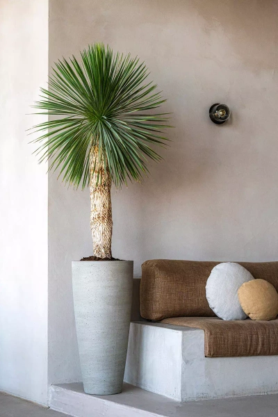 Dax L 37/80 wysoka donica kamienna beżowa