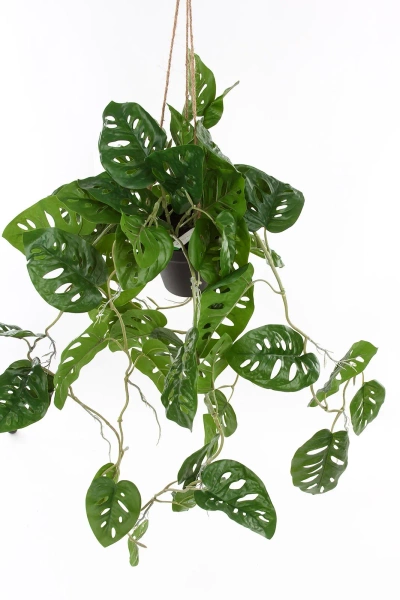 Sztuczna Monstera Monkey wisząca 80 cm w doniczce