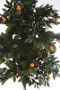 Sztuczna drzewko Mandarynka 170 cm cytrusy naturalny drewniany pień