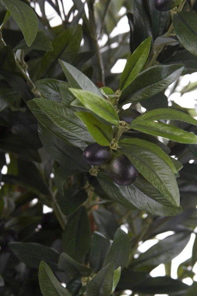 Sztuczna Oliwka 155 cm na grubym pniu deluxe