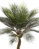Sztuczna palma Sagowiec Cycas 120 cm 24 liście