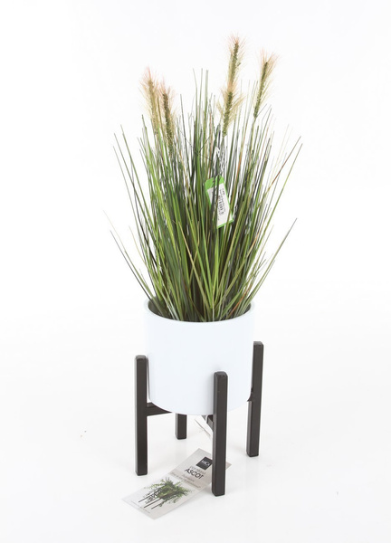 ASCOT 16,5x16,5/16 cm stojak na donice i kwiaty kwietnik czarny