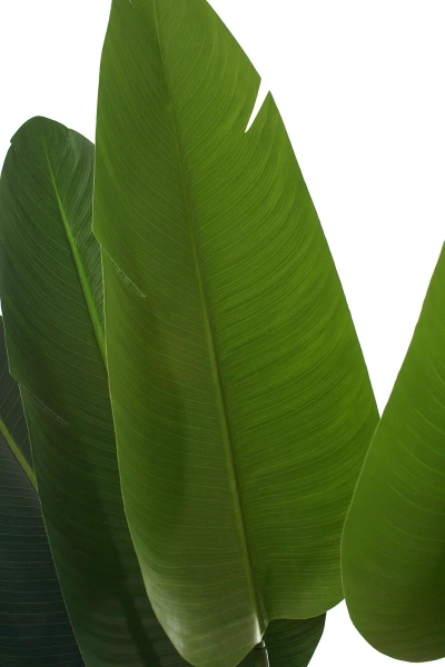 Sztuczna Strelicja rozłożysta 180 cm 9 liści