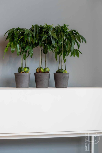 Mini Bucket S 14/12 kamienna doniczka złota metalik